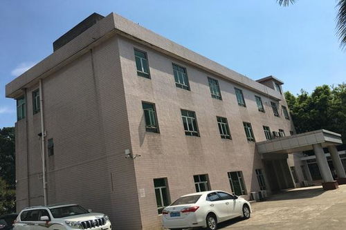 今日新闻 技术精湛，专业护航——聚焦十堰、襄阳、宜昌三地房屋建筑检测与鉴定